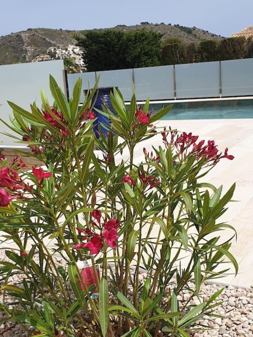 Casa Osimos Portet 450 M Moraira Luaran gambar